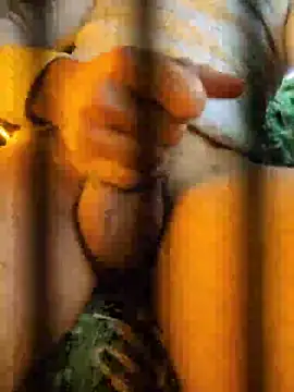 Cchg212 online show from April 2026 03:16:02 PM