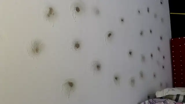 danielawidx online show from April 2026 01:48:01 PM