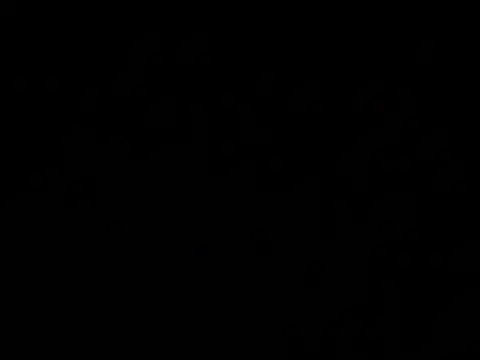 JANVI 06 online show from March 2026 03:02:02 AM