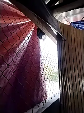 mylove-cute online show from March 2026 08:37:01 AM