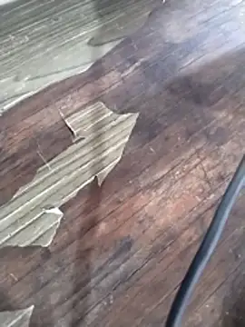 crisgoems online show from March 2026 05:09:02 PM