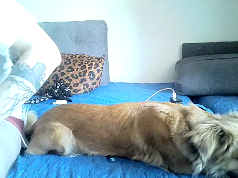 SirNefastus online show from April 2026 05:11:01 AM