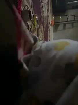 mohamed2113 online show from April 2026 12:30:02 PM