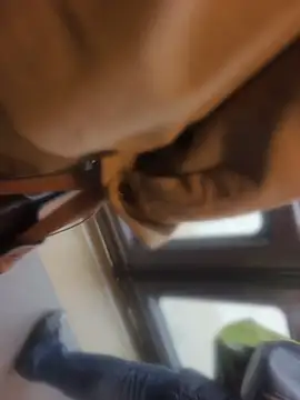 PublicMarekFlashDick online show from May 2026 06:39:02 AM