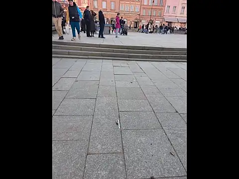 PublicMarekFlashDick online show from March 2026 02:45:01 PM