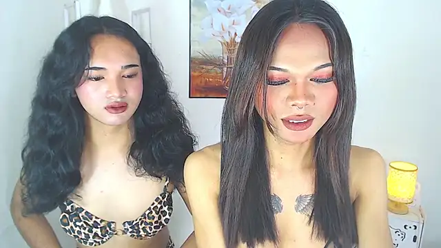 MaterialDuoTransxxx online show from March 2026 05:22:01 AM