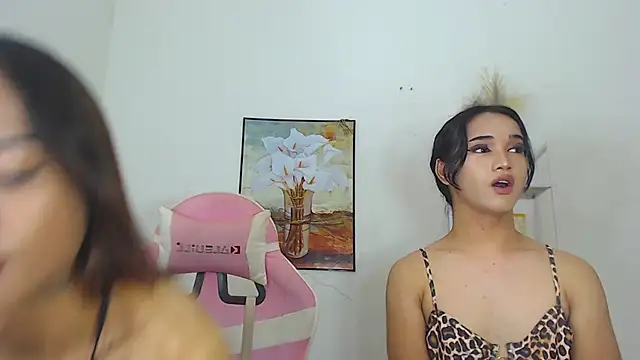 MaterialDuoTransxxx online show from March 2026 10:02:01 AM