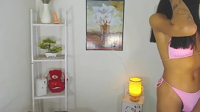 MaterialDuoTransxxx online show from March 2026 06:50:01 AM