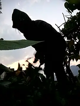 Bling-pusy online show from April 2026 11:33:01 AM