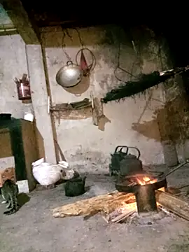 Bling-pusy online show from April 2026 09:54:01 PM