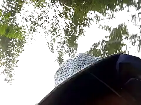 Yellow-pink online show from March 2026 02:16:01 AM