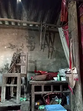 Yellow-pink online show from March 2026 04:34:02 AM