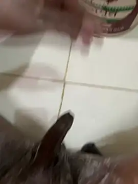 Chotiluli4 online show from March 2026 07:01:02 AM