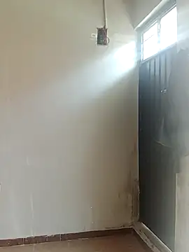 hacheshx online show from March 2026 03:37:01 PM