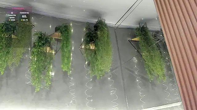 Amira Latif online show from April 2026 07:07:02 PM