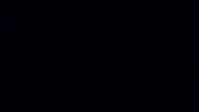 A model1 online show from May 2026 02:56:01 PM