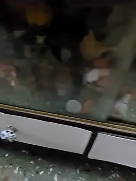 Andrealexander30 online show from April 2026 01:26:02 PM