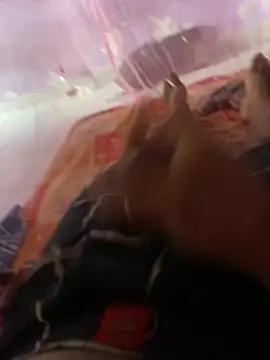 Snapshot of badgirl0808 chatting on March 2026 03:25:01 AM badgirl0808 online show from March 2026 03:25:01 AM