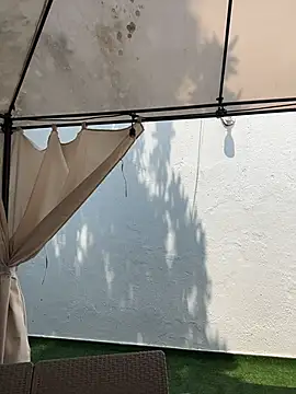 Bella-Ferrer online show from March 2026 06:22:02 PM