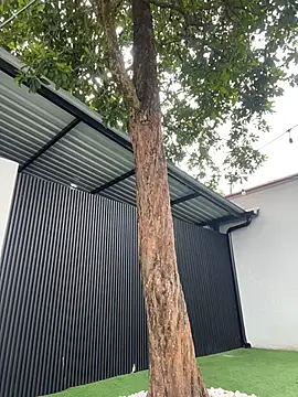 Bella-Ferrer online show from March 2026 06:25:01 PM