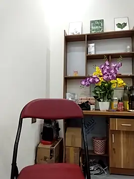 Mai phuong online show from April 2026 12:47:02 AM