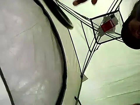 fushi91 online show from May 2026 02:55:01 PM
