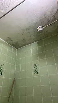 sylphiee  online show from April 2026 11:55:01 AM