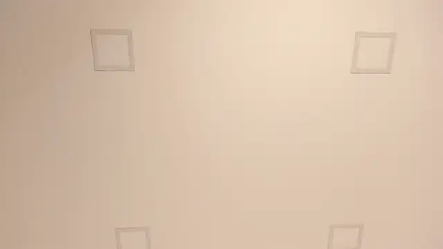 lilly williamss online show from April 2026 06:19:01 AM