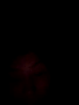 Stlla3704 online show from March 2026 08:11:01 PM