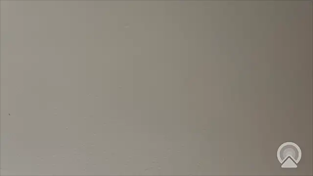 Shynesse21 online show from March 2026 11:41:01 AM