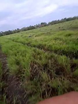 Snapshot of biker257 chatting on March 2026 11:14:02 AM biker257 online show from March 2026 11:14:02 AM