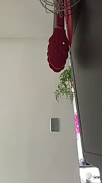 La-venus online show from March 2026 08:35:02 PM