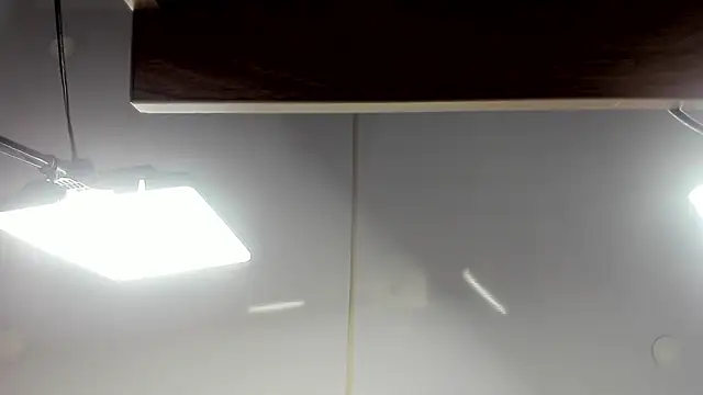 cuttie blondie online show from March 2026 11:03:01 AM