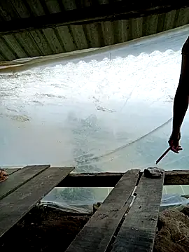 kalara kail online show from March 2026 04:56:01 AM