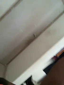 horsepassion online show from April 2026 04:31:01 PM