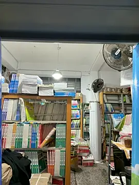 zhizhibaobei online show from April 2026 01:31:02 AM