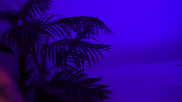 SweeetMila online show from April 2026 04:11:02 PM