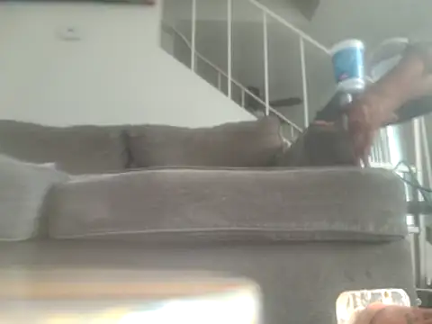 yourMasterisBored online show from July 2026 03:09:02 PM