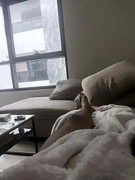 junzi0877 online show from March 2026 03:14:02 AM