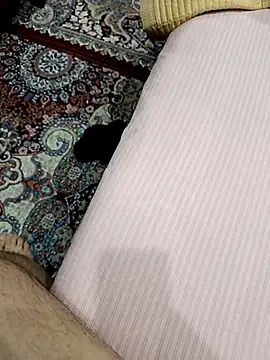 MEDVEDV online show from March 2026 04:02:02 PM