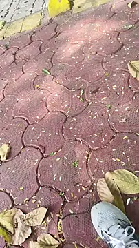 xyz 2giT online show from March 2026 04:57:01 AM