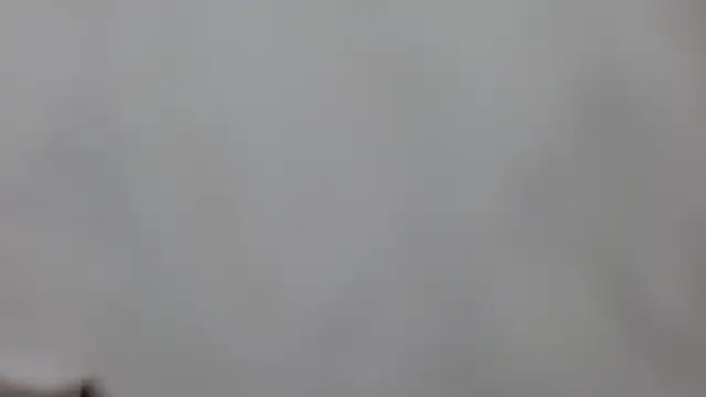 sweet afparty online show from April 2026 06:56:02 PM