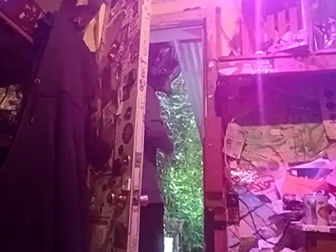 nearby causual online show from May 2026 02:20:01 AM