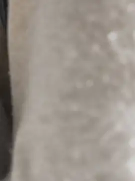 Enmy 24 online show from March 2026 04:15:01 AM