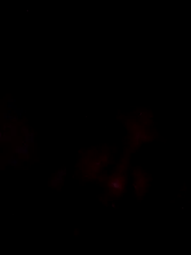 onliveme69 online show from April 2026 07:54:01 AM