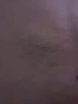 rummndo online show from April 2026 04:08:02 AM