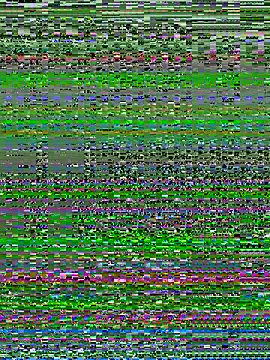 Snapshot of alextn22 chatting on July 2026 02:46:02 PM alextn22 online show from July 2026 02:46:02 PM