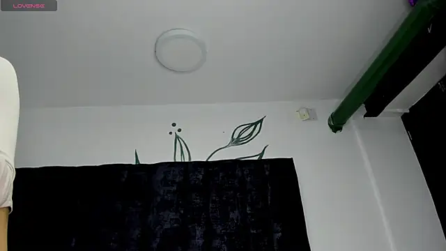 BONIE WILLS online show from May 2026 12:08:01 PM