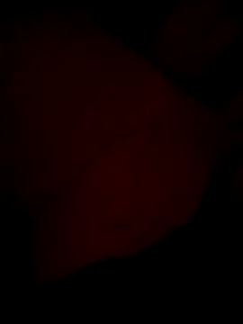 aapkichaht online show from April 2026 03:57:01 PM