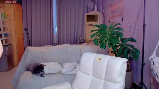 JaeHartMorn online show from March 2026 09:55:02 AM